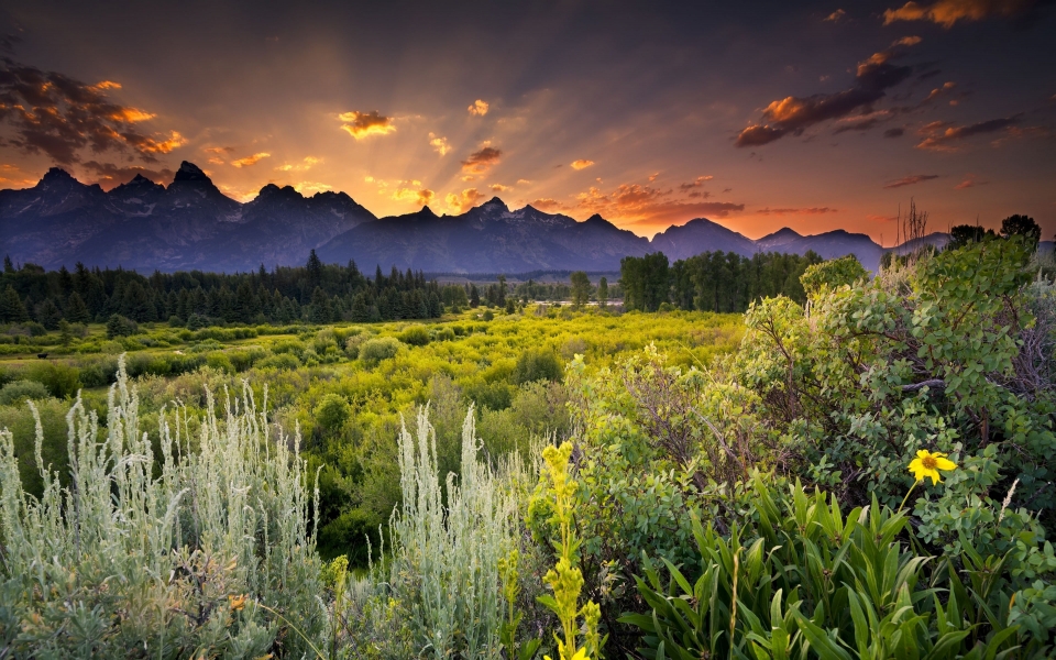 Download Golden Horizon Breathtaking Sunset Nature Scenery HD Wallpaper wallpaper