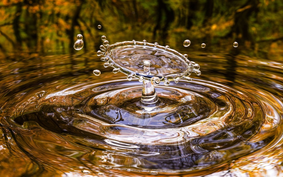 Download Moments of Fall Capturing Water Drops in Macro Splashes HD Wallpaper wallpaper