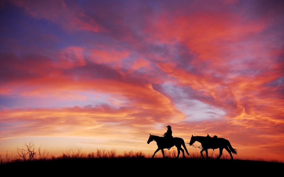 Download Wild West Reverie Cowboy Sunset in the Fields HD Wallpaper wallpaper