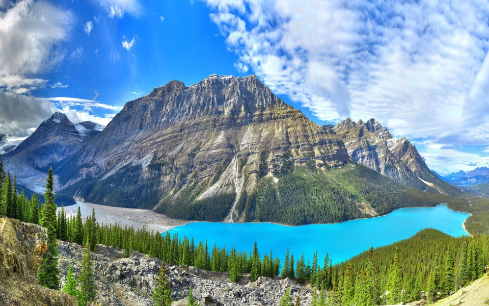 Download Peyto Lake in Summer HD Wallpaper of Banff's Majestic Beauty wallpaper