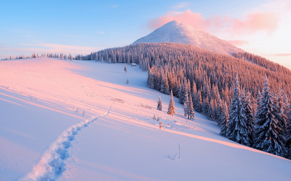 Download Winter's Embrace HD Wallpaper 4K 5K 6K 7K 8K wallpaper