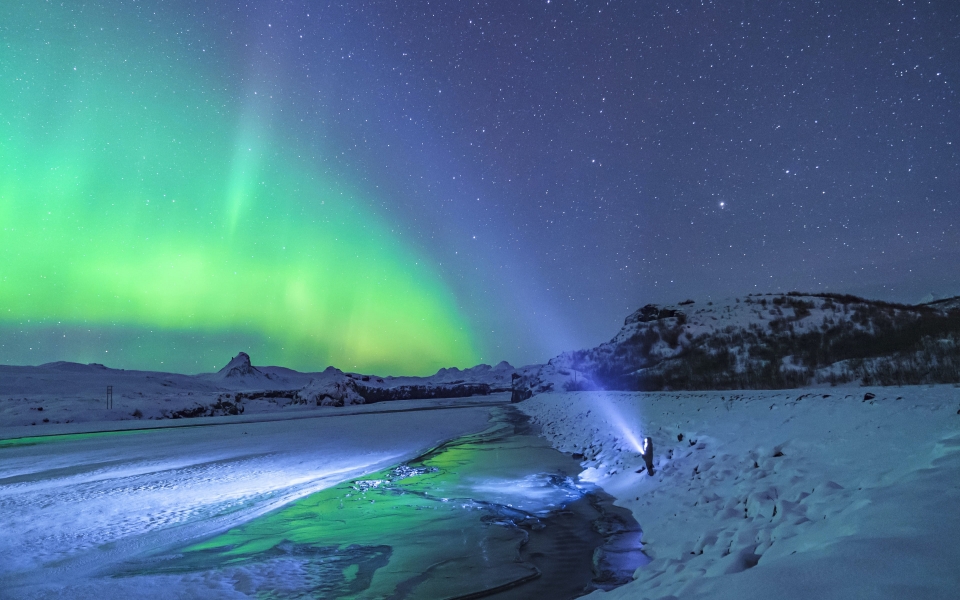 Download Awe Struck Standing Under the Aurora Lights in Nature HD Wallpaper wallpaper