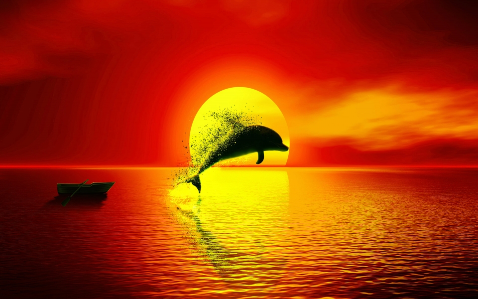 Download Dolphin Dispersion HD 4K 5K 6K Wallpaper wallpaper