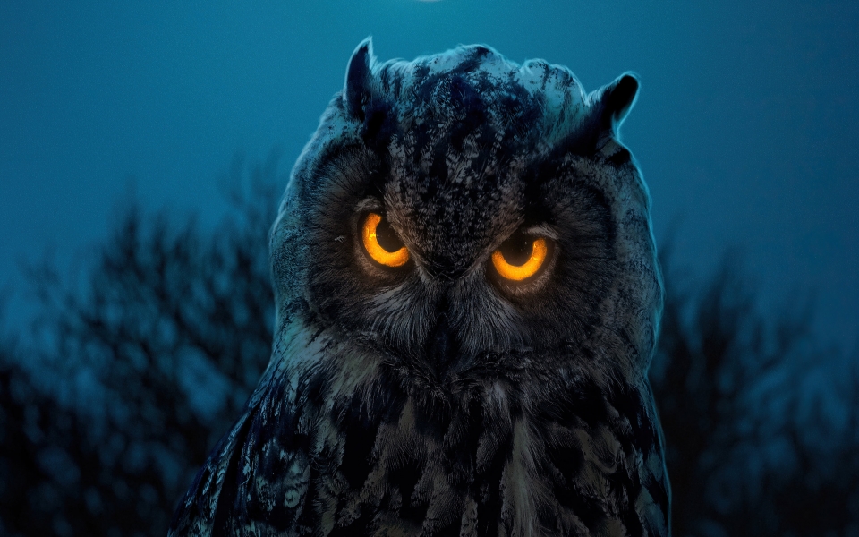 Download Enchanting Owl Glowing Eyes 5K 6K 7K Wallpaper wallpaper