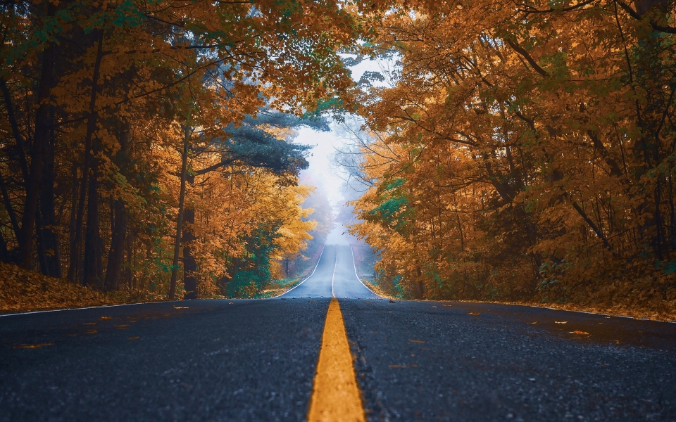 Download Autumn Road in the Mist Man Made Beauty HD Wallpaper wallpaper
