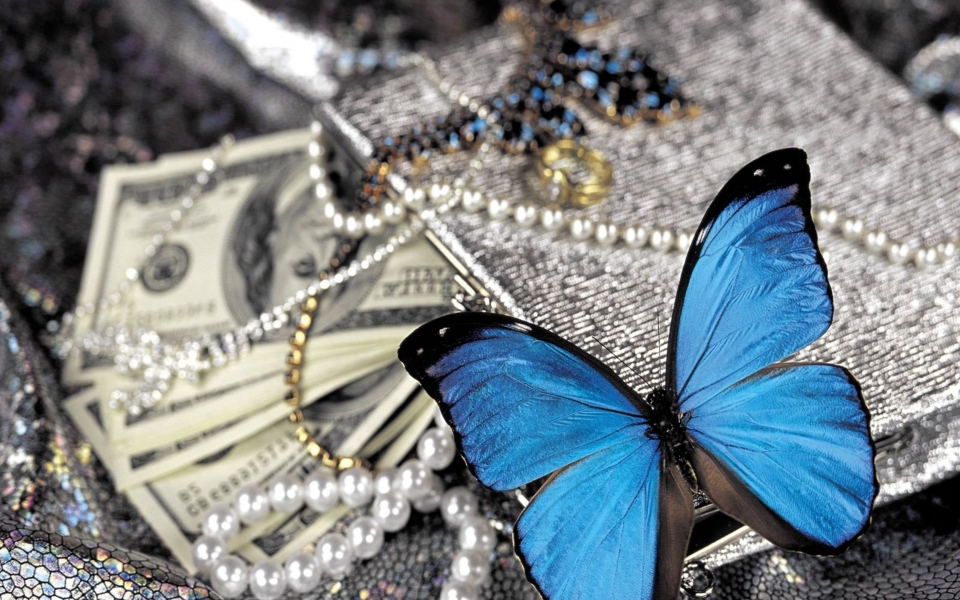 Download Blue Butterfly on Pearls HD Wallpaper 4K for WhatsApp Phone Home Screen wallpaper