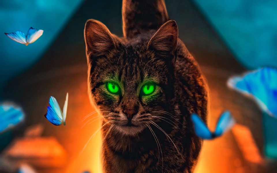 Download Cat's Magical Walk Digital Art HD Wallpaper wallpaper