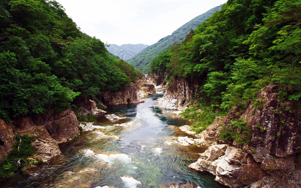 Download Nikko National Park Japanese 2024 HD Wallpaper wallpaper