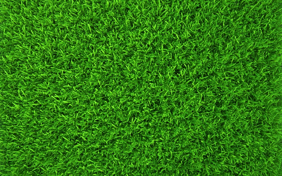 Download Summer Green Grass HD Wallpaper wallpaper
