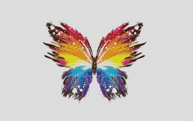 Abstract Colorful Illustrated Butterfly