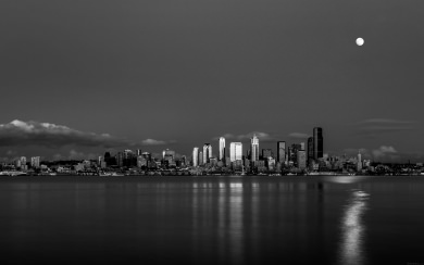 Black and White View of Skyline