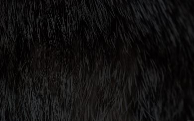 Black Hairy Fur