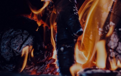 Close-Up Burning Fire Wood
