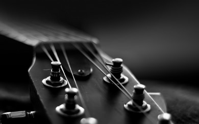 Close-Up Of Guitar Strings