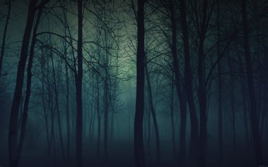 Dark Green Horror Woods