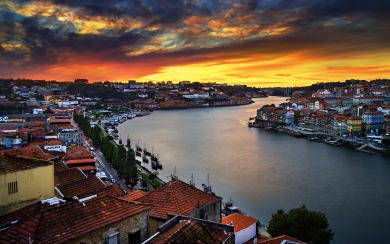 Enchanting Porto