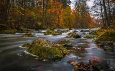Flowing Autumn River