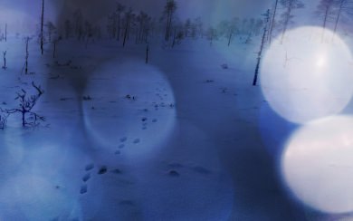 Footprints In Deep Snow