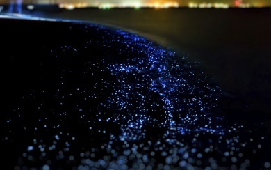 Glittering Ocean At Night
