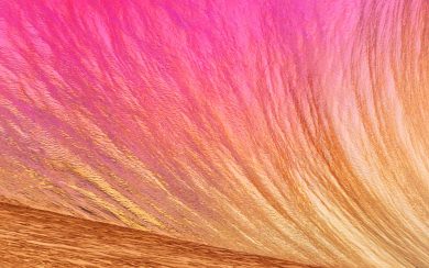 Gold An Pink Wave