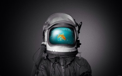 Goldfish Space Helment