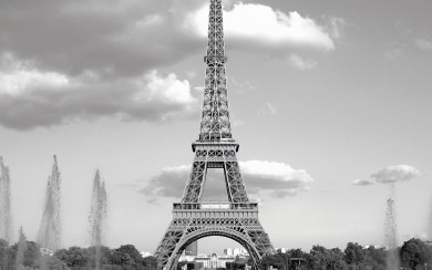 Grey Crisp Eiffel Tower