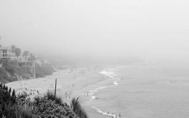 Grey Misty Beach