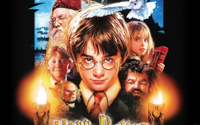 Harry Potter Cast