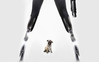 Kinsgman Poster Dog Film