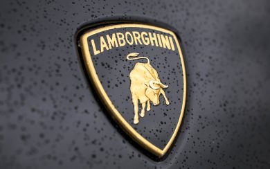 Lamborghini Gold Bull Logo