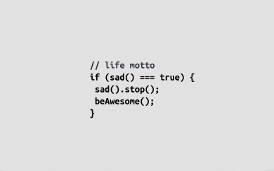 Life Programmer Motto