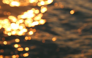Lights In The Sea