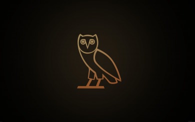 Minimal And Simple Owl Outline Logo