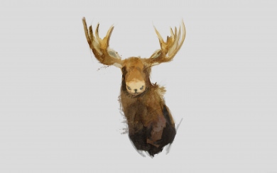 Minimal Illustration of A Moose