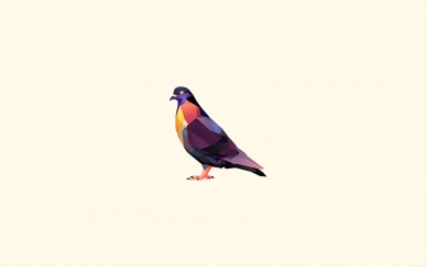 Minimal Pigeon Illustration