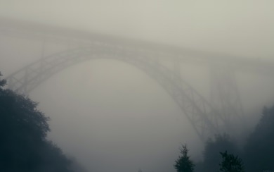Misty Bridge And Trees