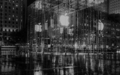 New York Apple Store At Night