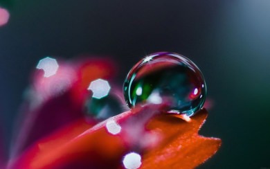 Red Water Droplets on Leaf