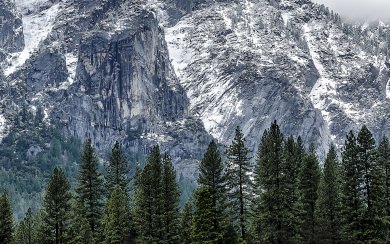 Snowy Sprinkled Yosemite