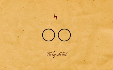 'The Boy Who Lived' Glasses and Scar