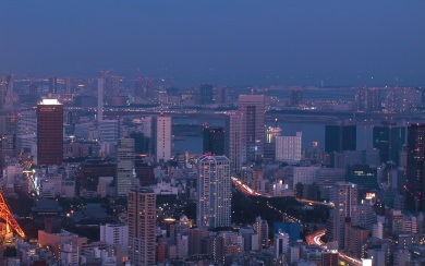 Tokyo City At Night