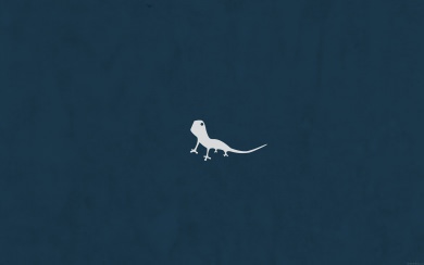 White Lizard On Blue Background