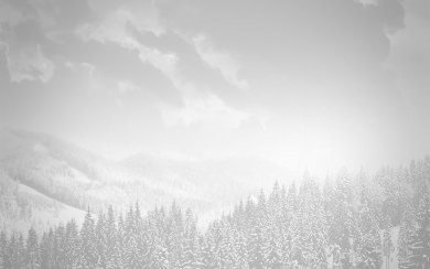 White Snowy Misty Forest Mountains