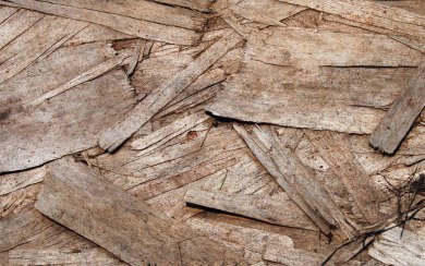 Wood Texture Splinters