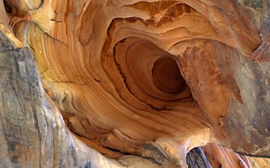 Wooden Cave