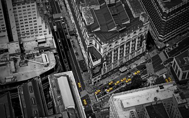 Yellow Cabs In New York