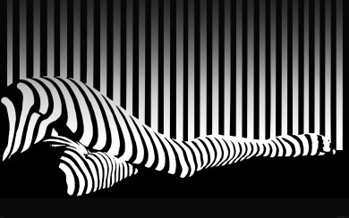 Zebra Stripe Leg