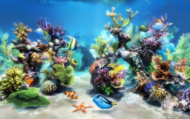 Aquarium Wallpaper Background