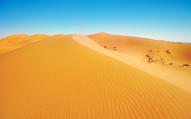 Sahara Desert HD Wallpapers