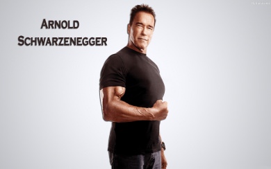 Download Arnold Schwarzenegger Wallpaper Quotes Wallpaper 